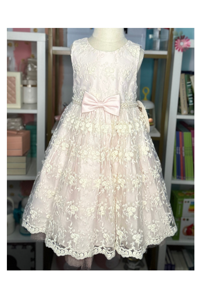 Elegant Lace Dress - Pink and white